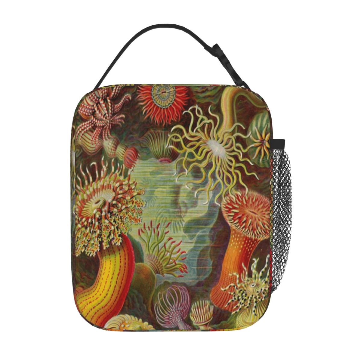 Hot Sale Sea Anemone - Ernst H - огляд і ціна Meal Prep Diet
