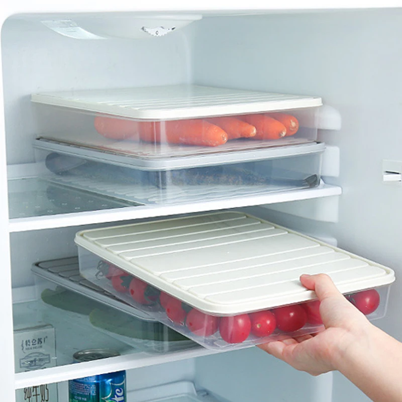 Freezer Dumpling Box Food Stor - огляд і ціна Meal Prep Containers Xl